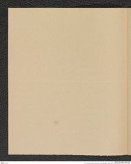 k.k. naturhistorisches Hofmuseum, Intendanzakten 1885-1896 (Hauer), Aktenzahl Z.597/1891, Seite 2